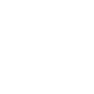 Shopify Development icon